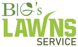 BIG's Lawn Service